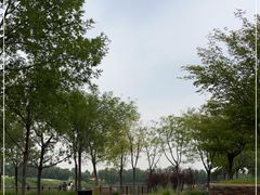-东郊湿地公园