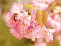 -集天餐厅(人大店)