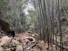 -莫干山风景区
