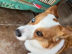 -陶野咖啡·面包披萨