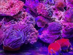 -石林冰雪海洋世界