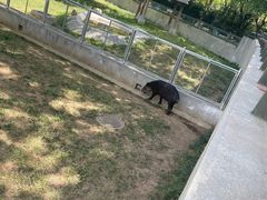 -石家庄市动物园