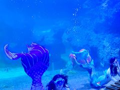 -左海海底世界