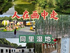 -同里国家湿地公园