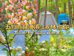 -上海滨江森林公园