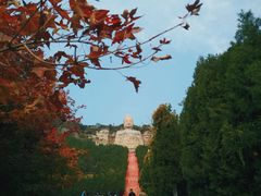 -蒙山大佛景区