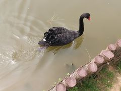 -金陵矩阵(聚宝山公园店)