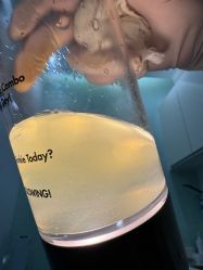 -SKINIST丽铂医疗美容