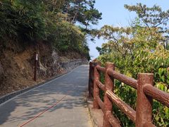 -羚羊峡古栈道森林公园