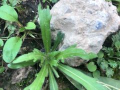 -北京国宾酒店
