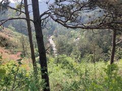 -木兰云雾山