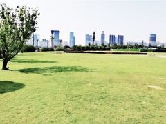 -桂溪生态公园