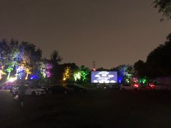 -枫花园汽车电影院(朝阳公园店)