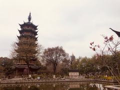 -红梅公园