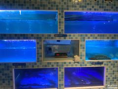 -大河宴椒麻鱼(嘉和园店)