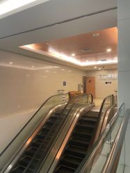 -东莞台心医院-医疗美容