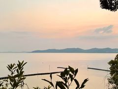 -上海市保健医疗中心