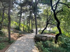 -北京西山国家森林公园