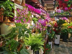 -宝鸡东道花鸟鱼虫市场(吉利花园商场店)