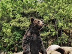 -沈阳森林动物园