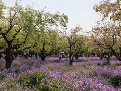 -江苏三台山国家森林公园