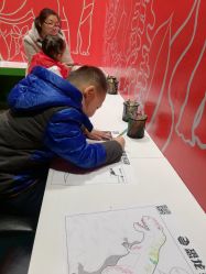 -恐龙探索乐园(磁器口店)