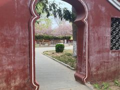 -济南国际园博园