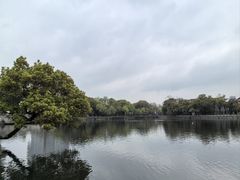 -月湖公园
