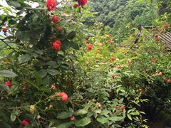 -亦缘居私家别院