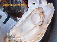 海蛎子-船梆煮•蒸汽海鲜·炉火烤肉(五四广场店)