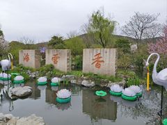 -香雪海