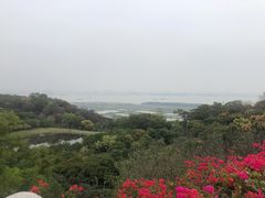 -广州莲花山旅游区