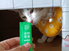 -乐琪宠物医院·犬猫专科·骨外科·急重症