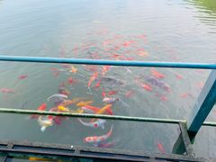 -陶祖圣境风景区