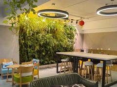 -引领英语·成人口语·雅思托福