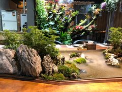-森味薪火烧•烧鸟居酒屋•日本料理(望京店)