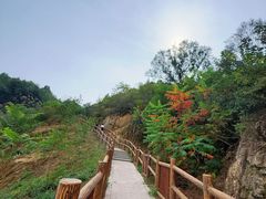 -白水寺森林公园