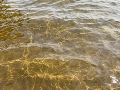 -碧海金沙
