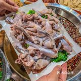 地道老成都火锅，那些还没吃过的耗儿鱼🐟