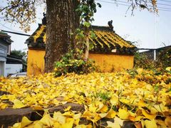 -东山风景区(洞庭东山)