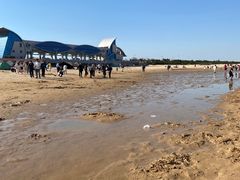 -日照海滨国家森林公园