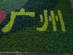 -广州白云国际机场-T2航站楼
