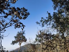 -宝界山林公园