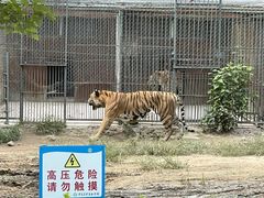 -秦皇岛野生动物园