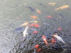 -云幽谷旅游区