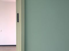 -大树装饰·十年本土家装
