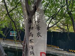 -春风习习