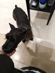 -Hello Lady发型设计