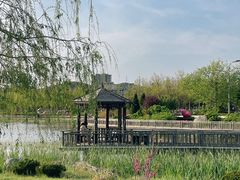 -羊亭河湿地公园