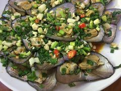 -全乐鱼馆·淳牌有机鱼直营店